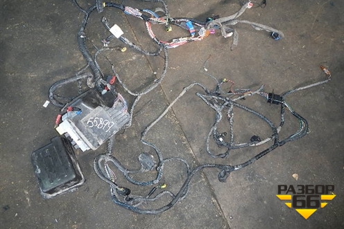 Проводка подкапотная для Fiat Albea с 2003г (Альбеа)