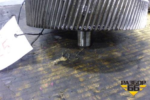 Шестерня ГРМ промежуточная для Scania 5 R Series с 2004-2016г