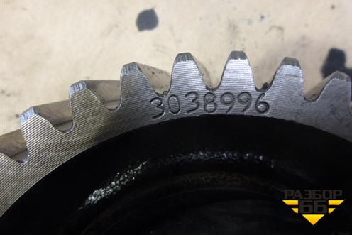 Шестерня ГРМ промежуточная (3038996) для International 9800i