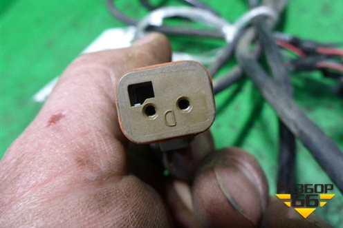 Проводка (на двигатель топливной системы) для Scania 5 R Series с 2004-2016г