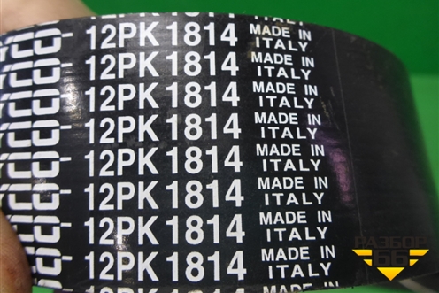 Ремень ручейковый (навесного оборудования) (12PK1814) для Iveco Stralis с 2007г (Стралис)