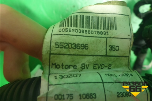 Проводка подкапотная ( 1.4л 350A1000) (55203696) для Fiat Albea с 2003г (Альбеа)