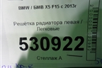 Решетка радиатора левая (7316075) для BMW X5 F15 с 2013г (Х5 Ф15)