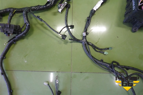 Проводка подкапотная (240125ZA2C) для Infiniti Infiniti QX56/QX80 (Z62) с 2010г (Ку икс56/80)