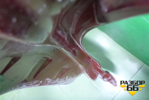 Дверь задняя правая (H21004EAMA) для Nissan Qashqai (J11E) с 2013г (Кашкай)