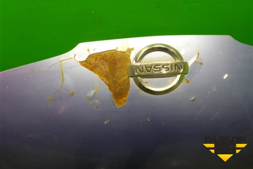 Капот (65100AX630) для Nissan Micra (К12Е) с 2002-2010г (Микра)