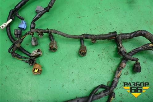 Проводка на двигатель (3.6л EZ36) для Subaru Legacy Outback (B14) с 2009-2014г (Легаси Аутбек)