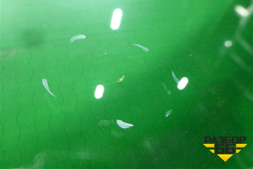 Стекло лобовое (обогрев, датчик дождя) (555000328AA) для Exeed TXL с 2020-2024г (ТХЛ)