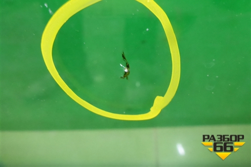 Стекло лобовое (под датчик дождя с обогревом зоны дворников) для Kia Sorento III Prime с 2014-2020г (Соренто3)