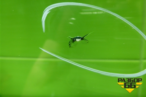 Стекло лобовое для Audi Q3 с 2018-2025г (Ку 3)