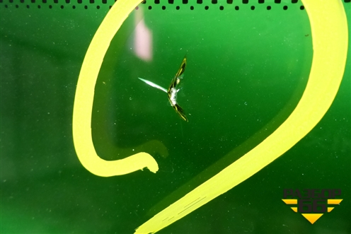 Стекло лобовое (с обогревом зоны дворников под датчик дождя после 2023г) для Geely Coolray с 2019-2025г (Кулрей)