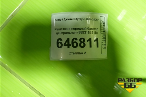 Решетка в передний бампер центральная (8893183318) для Geely Cityray с 2024-2025г (Ситирей)