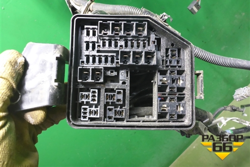 Проводка подкапотная для Toyota Rav-4 с 2018г (Рав 4)