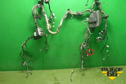 Проводка подкапотная для Toyota Rav-4 с 2018г (Рав 4)