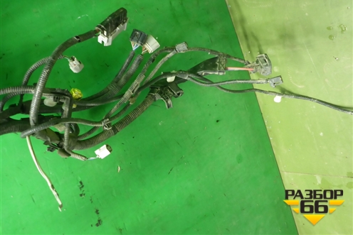 Проводка подкапотная для Toyota Rav-4 с 2018г (Рав 4)