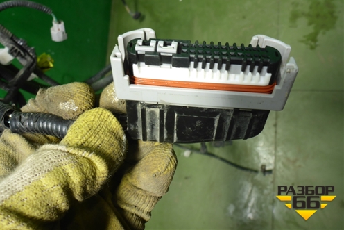 Проводка подкапотная для Toyota Rav-4 с 2018г (Рав 4)