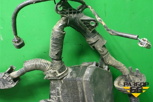 Проводка подкапотная для Toyota Rav-4 с 2018г (Рав 4)