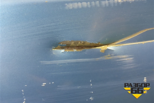 Дверь передняя левая (41519482699) для BMW 2-серия F44 с 2019г