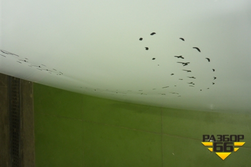 Капот (8402119XKM01A) для Tank 300 с 2021-2025г