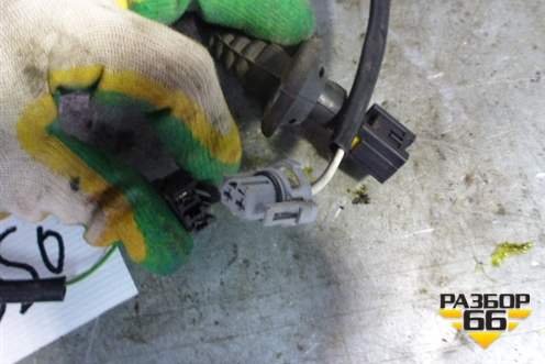 Проводка двери задней левой для Renault Symbol с 2008г (Симбол)