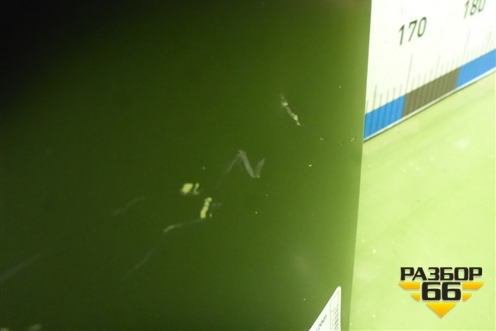 Капот (новый дубликат) (5330160591) для Toyota Land Cruiser (200) с 2008г (Ленд Крузер)