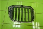 Решетка радиатора левая (51137464919) для BMW X3 G01 с 2017г (Х3 Г01)