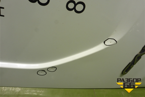 Дверь задняя левая (A31R236300015) для GAZ ГАЗель NEXT (Некст)