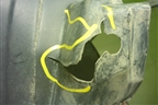 Локер передний левый (5512132XKQ00A) для Haval F7 с 2019г (Ф7)