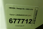 Капот (J608402010FLDY) для OMODA S5 с 2022г (С5)