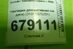 Накладка декоративная (на диск) (3101102SZ01) для Evolute i-space c 2026г