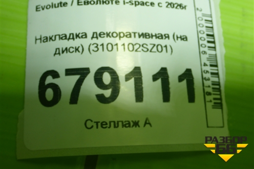 Накладка декоративная (на диск) (3101102SZ01) для Evolute i-space c 2026г