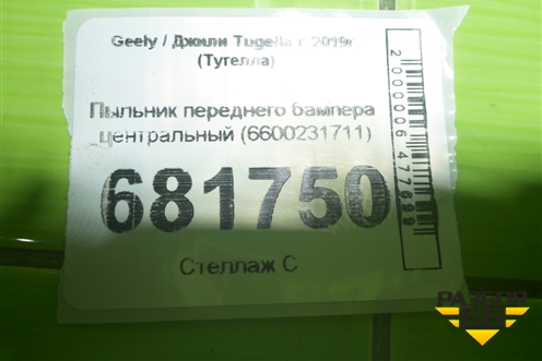 Пыльник переднего бампера центральный (6600231711) для Geely Tugella с 2019г (Тугелла)