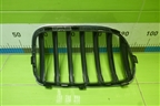 Решетка радиатора левая (до 2014г) (51117210725) для BMW X3 F25 с 2010-2017г (Х3 Ф25)
